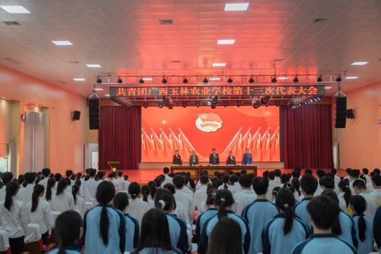 1711325669608188.png image.png