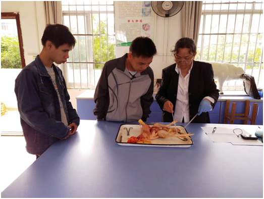 1574405573108005.png 1574405573108005.png