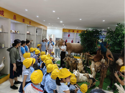 1717059799282995.png image.png