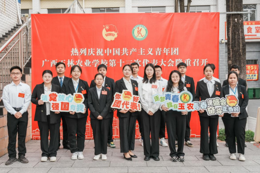 1711325907942411.png image.png