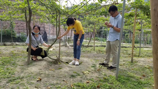 1588734861113711.png 1588734861113711.png