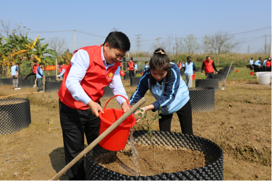 1710242451194668.png image.png