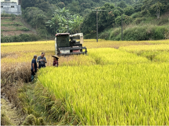 1699979506952975.png image.png