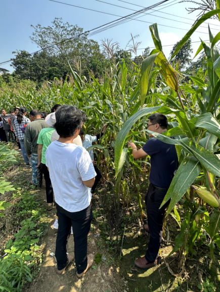 1698650989405746.png ~2_VTQZHV()IHHCW4B3U%)W.png