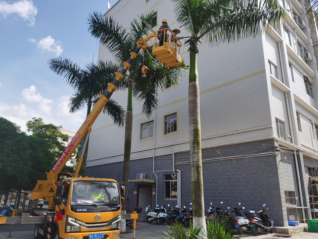 1656665280239552.png 1656665280239552.png