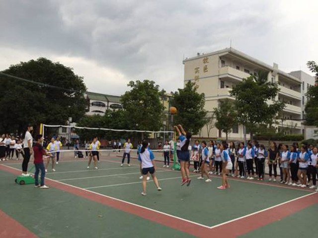 1492872724536917.jpg 93.jpg