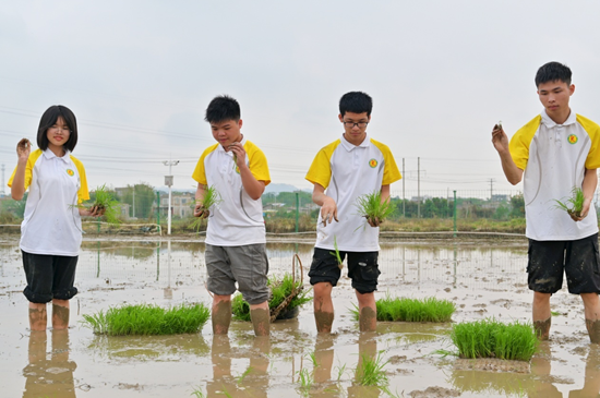 1679392474491404.png image.png