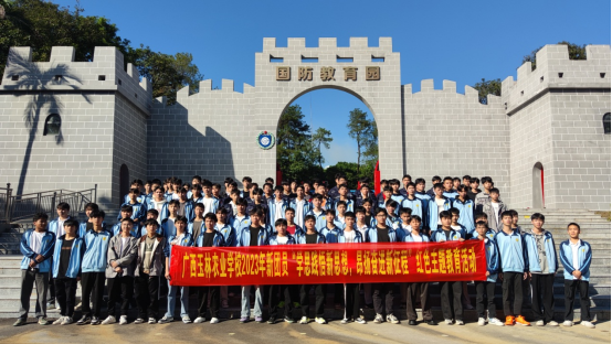 1709262948624990.png image.png