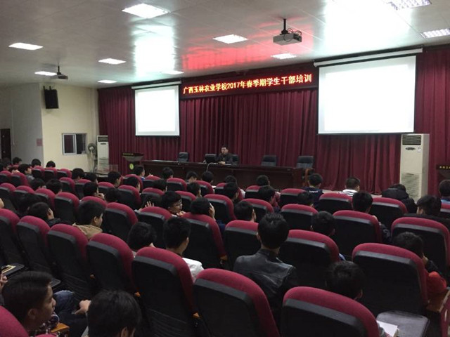 1492915494234865.jpg 104.jpg