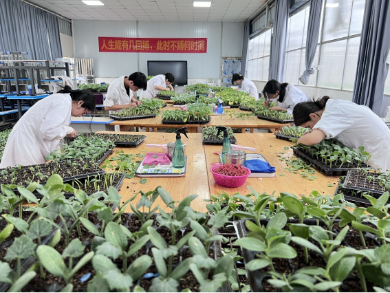 1709633953823101.png image.png