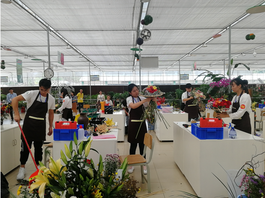 1571703520591902.png 1571703520591902.png