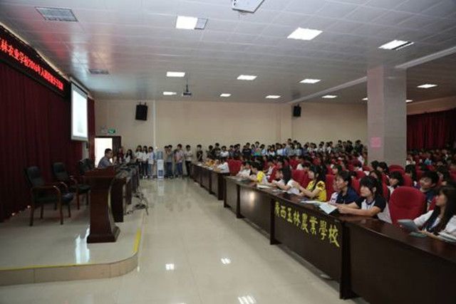 1492308884692399.jpg 59.jpg