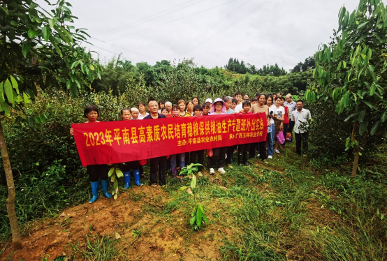 1696726452588786.png image.png