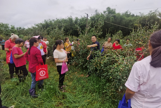 1696726438955012.png image.png