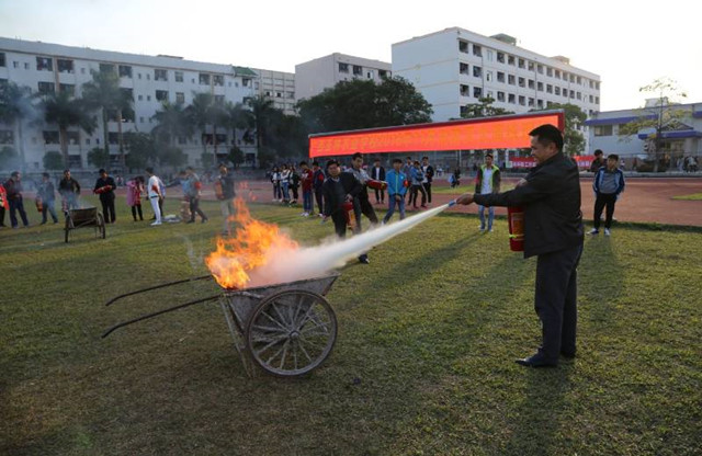 1492911002918849.jpg 45.jpg