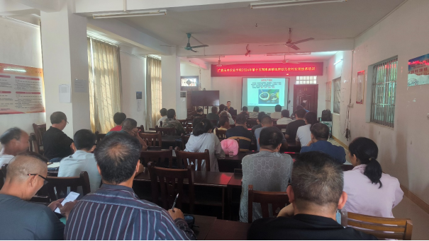 1729474802655530.png image.png