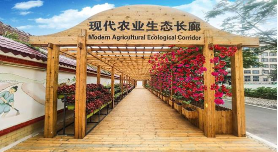 1666854996982253.png image.png