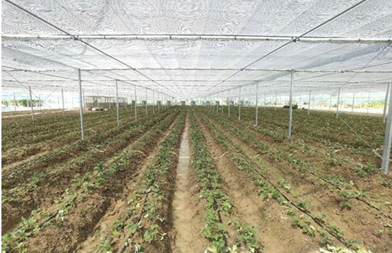 1666855067549711.png image.png