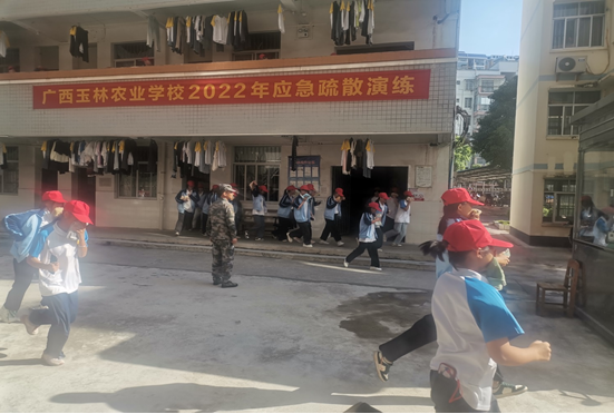 1667782994345012.png image.png