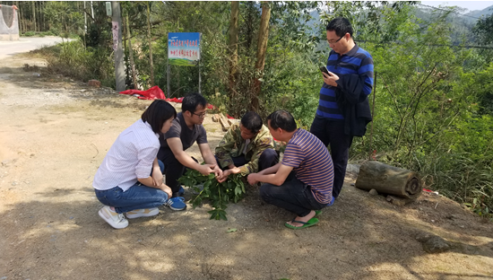 1666854922282700.png image.png