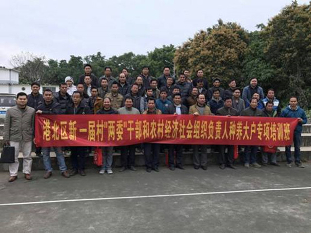 1492913871213031.jpg 80.jpg