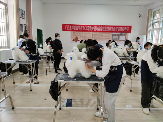 1641257189809834.png image.png