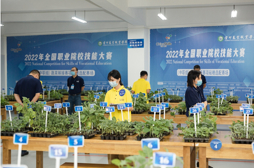 1661763887169711.png image.png