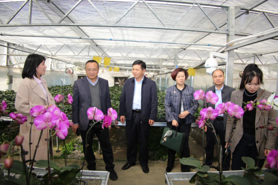 1734518420432321.png image.png