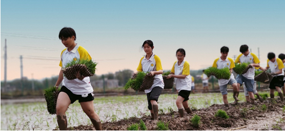 1679392360410892.png image.png