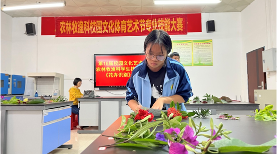 1668997229403705.png image.png