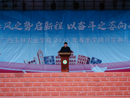 1740627136105397.png image.png