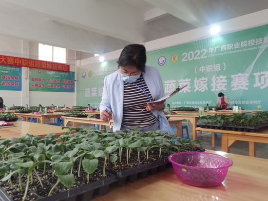 1650600082455549.png image.png