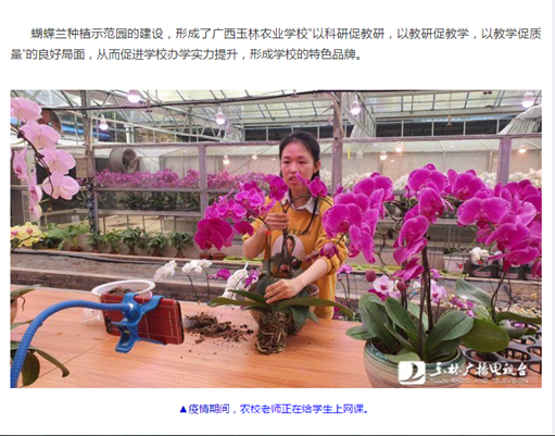 1586761353765277.png image.png