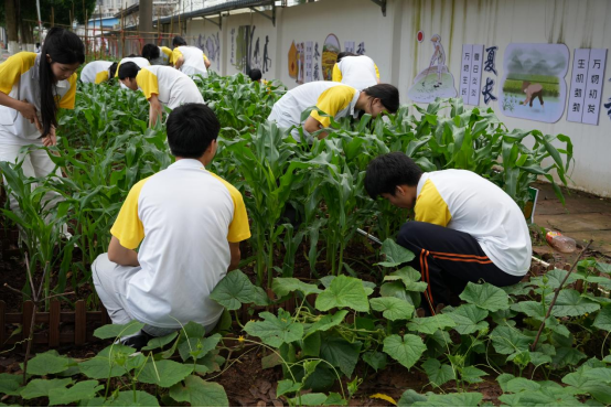 1715733017792645.png image.png