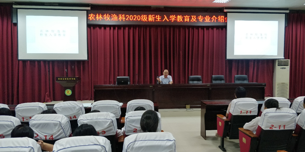 1599471921783355.png image.png