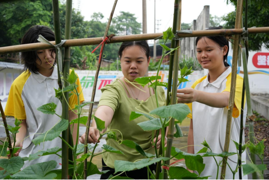 1715732992473733.png image.png