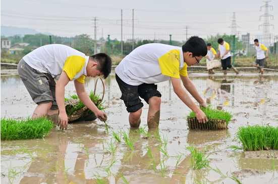 1679392458573971.png image.png