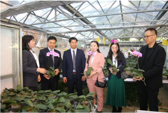 1733103189281748.png image.png