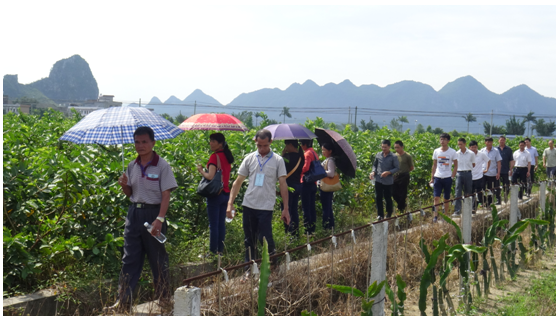 1498523865805174.png blob.png