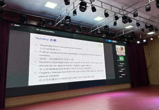 1720874262115868.png image.png