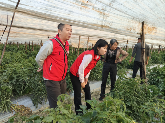 1737175398528251.png image.png