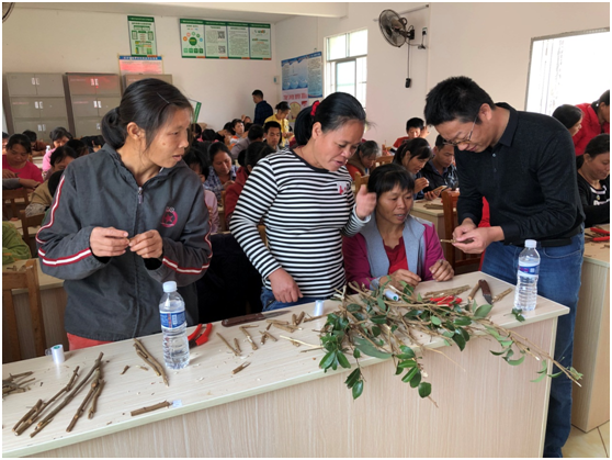 1576140755798411.png image.png