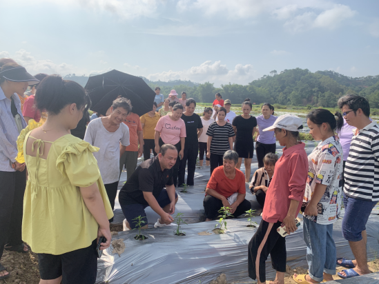 1696724205395440.png image.png