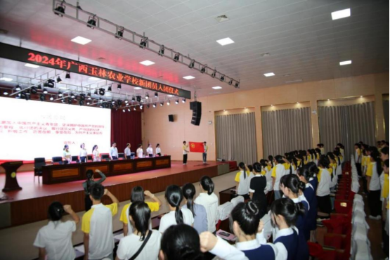 1716538548732377.png image.png