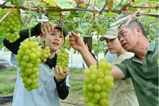 1720793998673613.png image.png