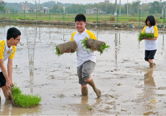 1705193258413241.png image.png