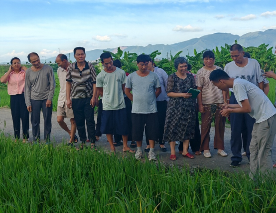 1760430537292402.png image.png