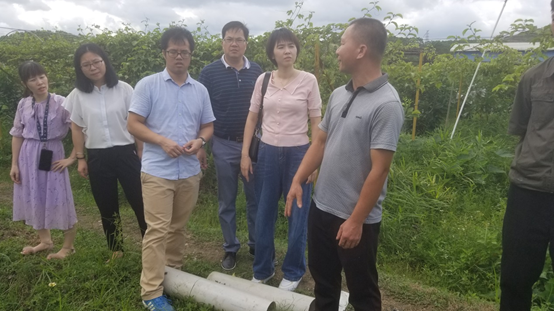 1593313485608376.png image.png