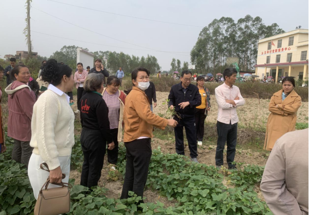 1733746826245250.png image.png