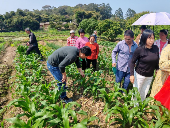 1742975442226168.png image.png